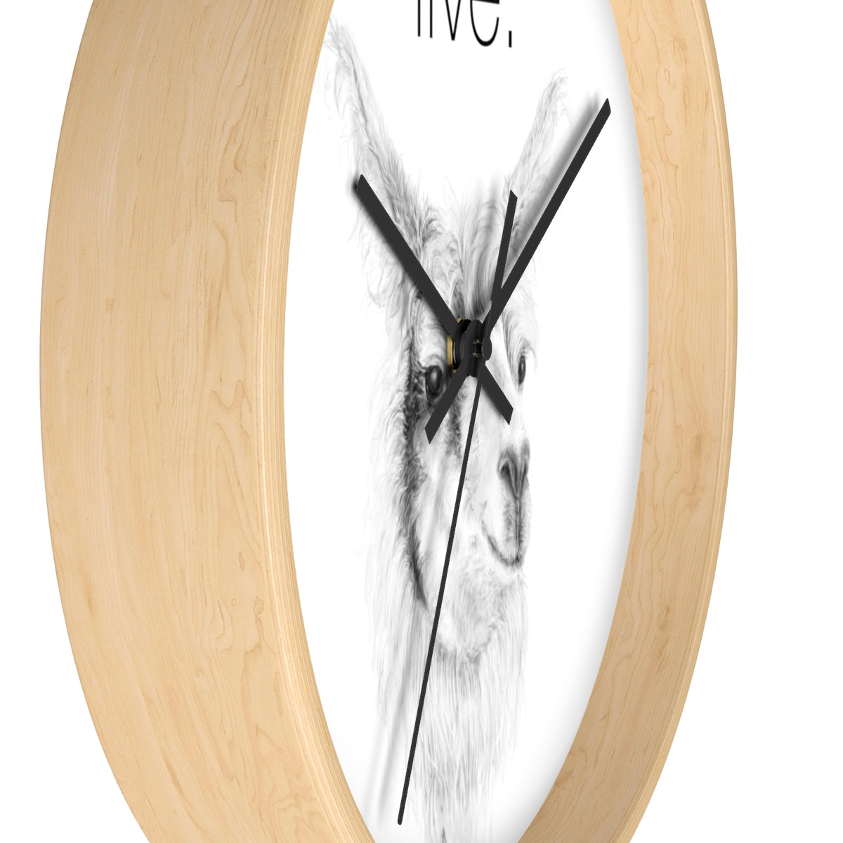 Llama LIVE Wall clock: ADAM