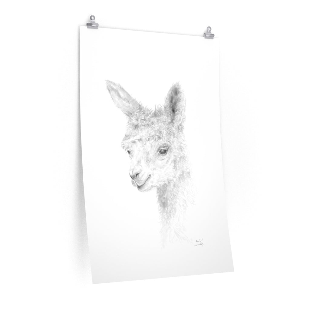 ANALYN Llama- Art Paper Print
