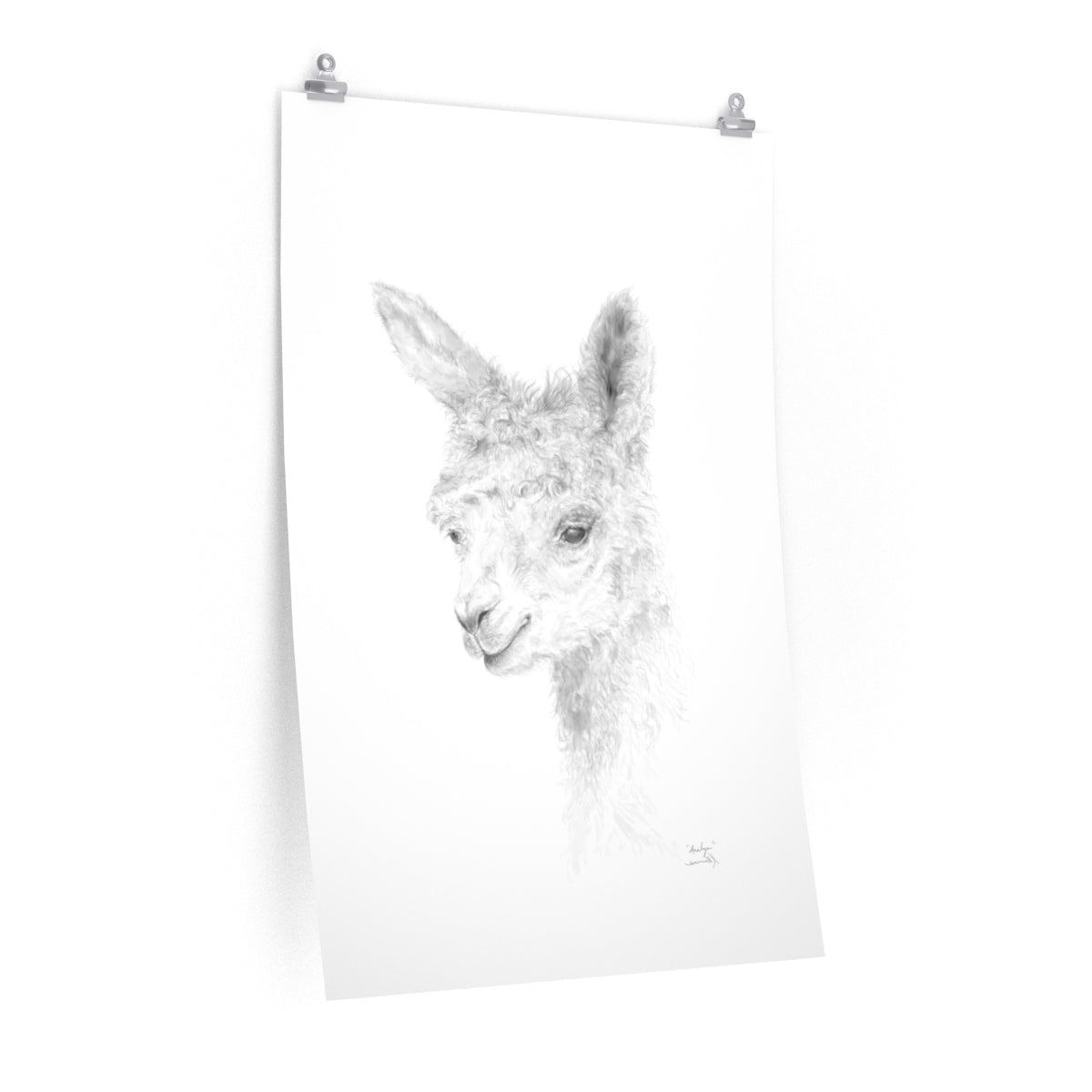 ANALYN Llama- Art Paper Print