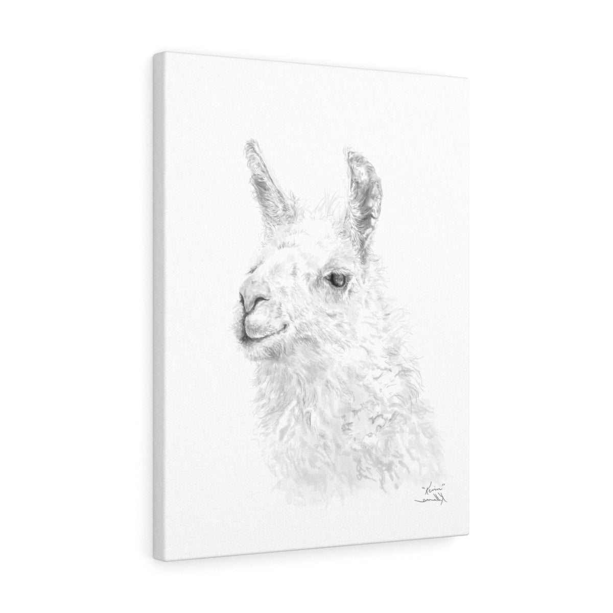 KEVIN Llama - Art Canvas
