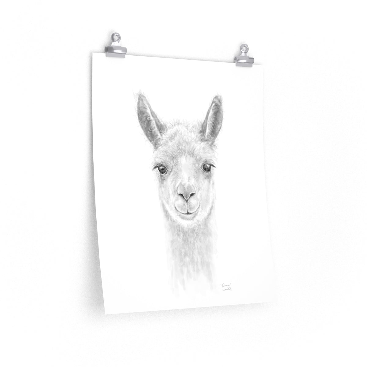 TAMARA Llama- Art Paper Print