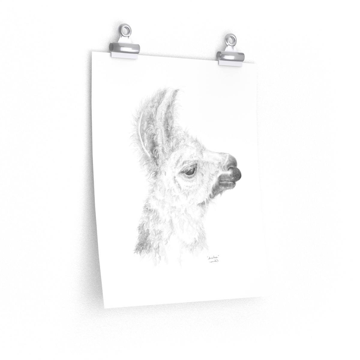 ANNELIESE Llama- Art Paper Print