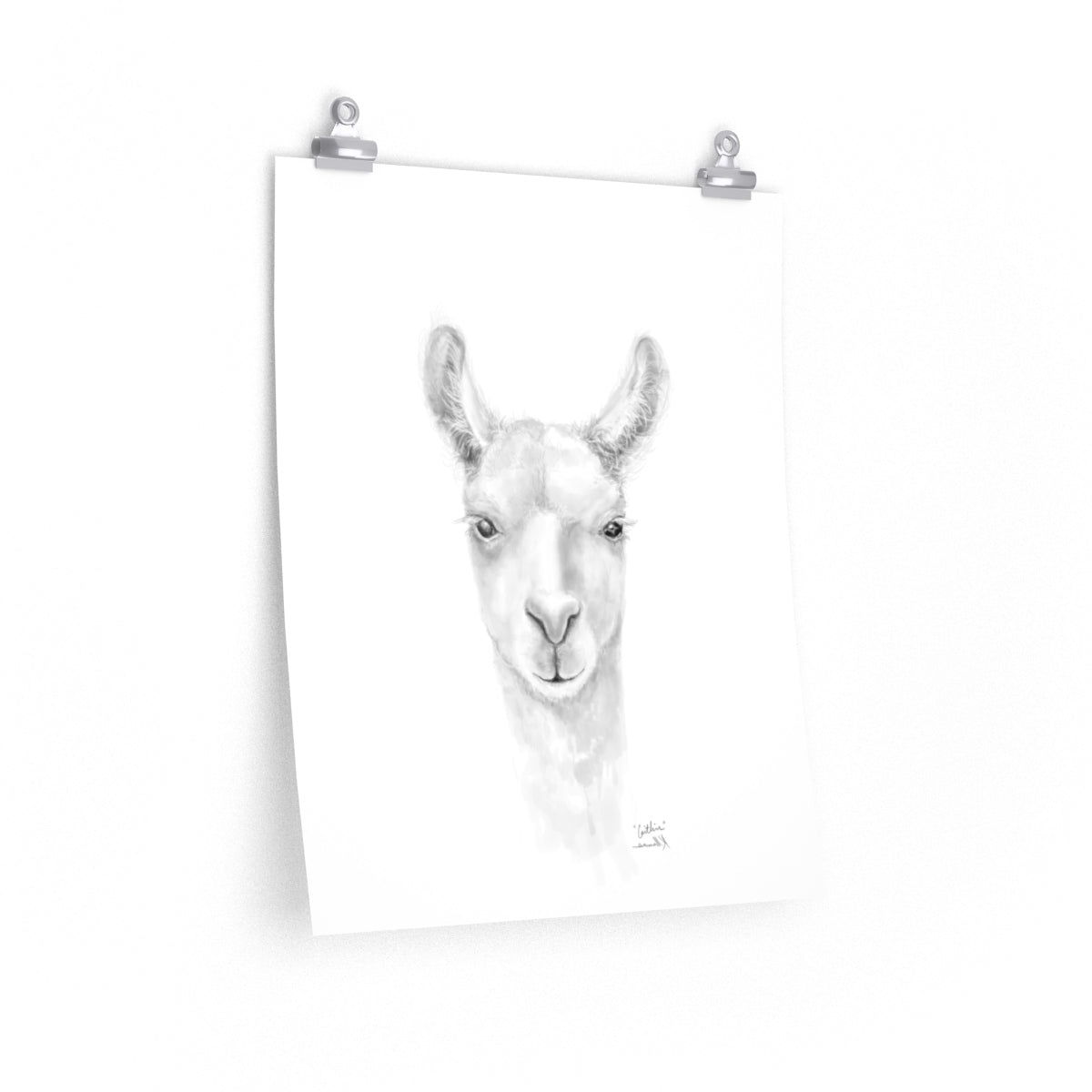 CAITLIN Llama- Art Paper Print