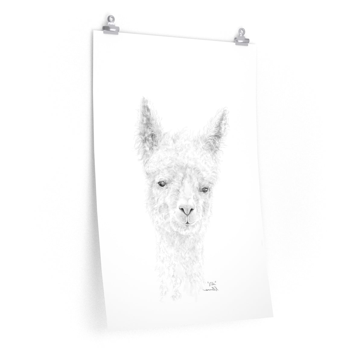 ELLA Llama- Art Paper Print