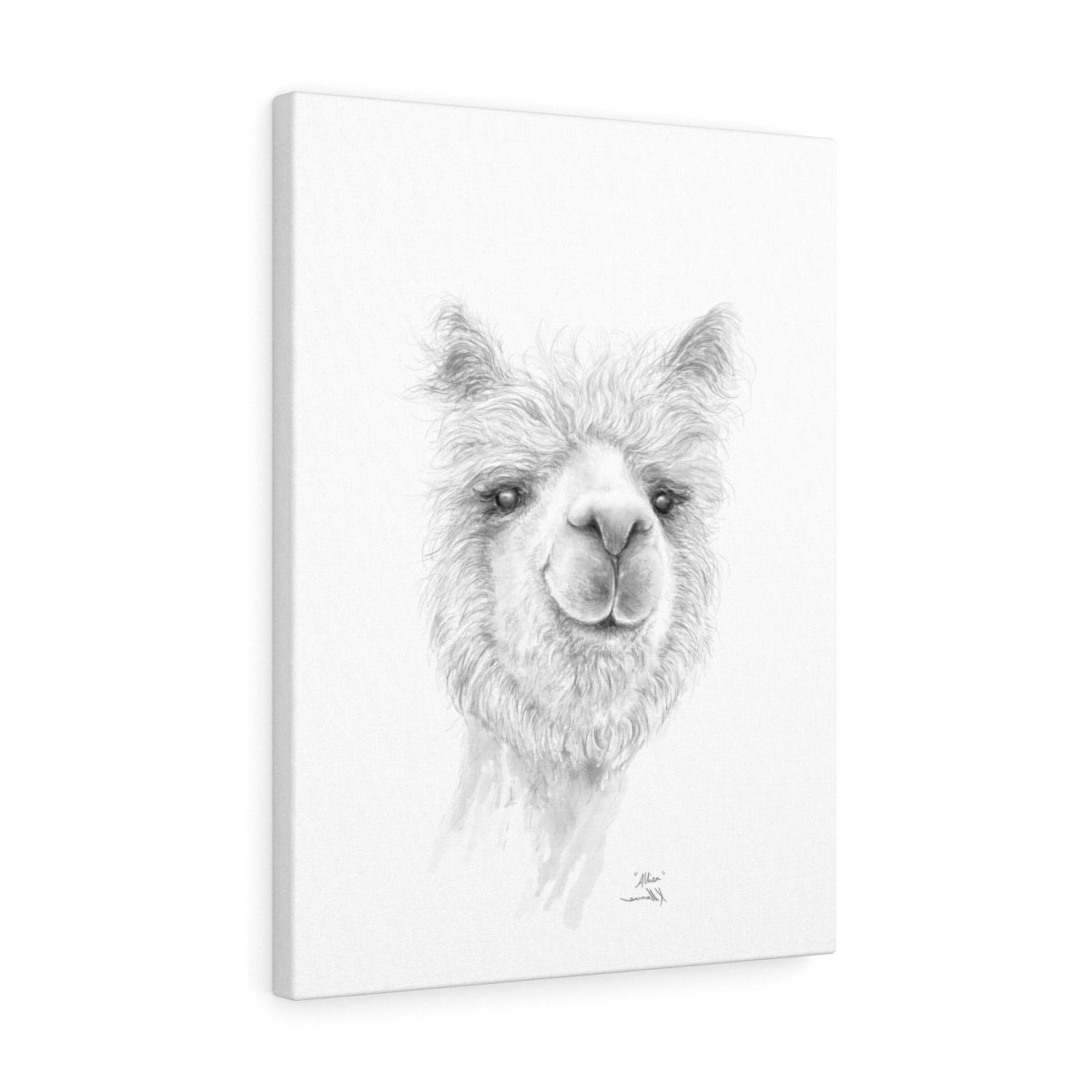 ALLISA Llama - Art Canvas