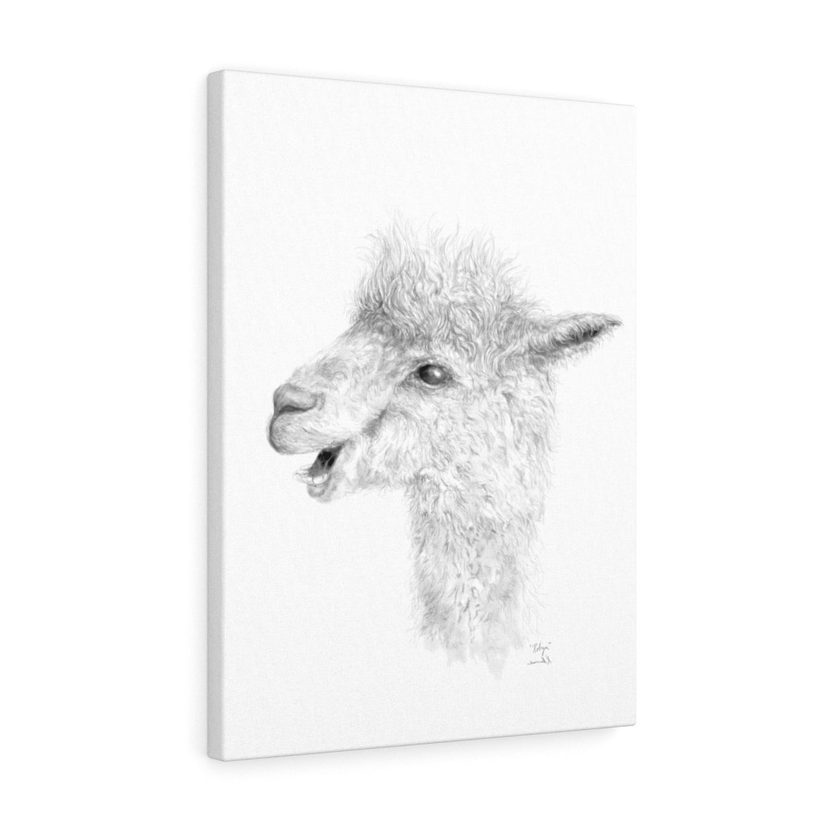 ROBYN Llama - Canvas