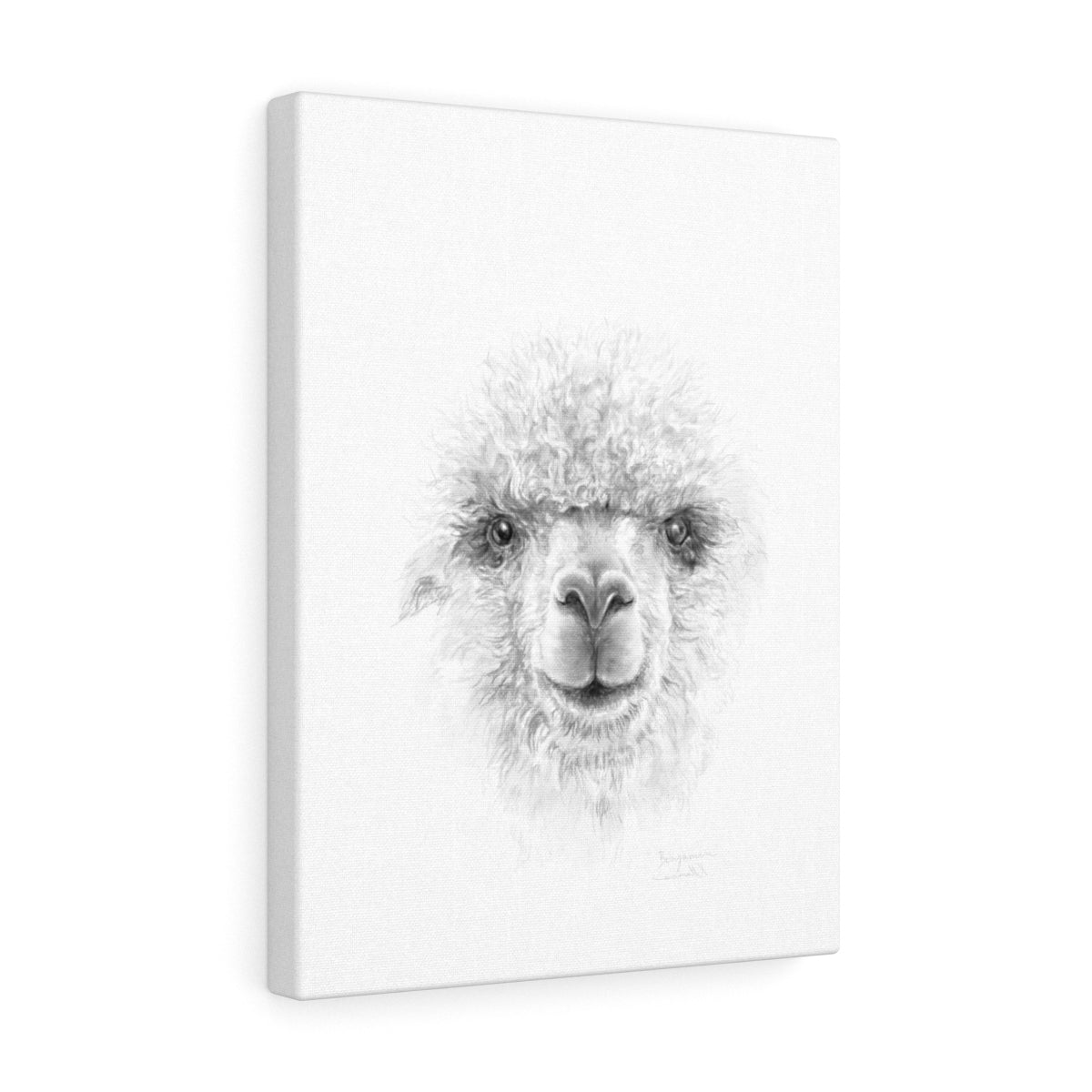 BENJAMIN Llama - Art Canvas