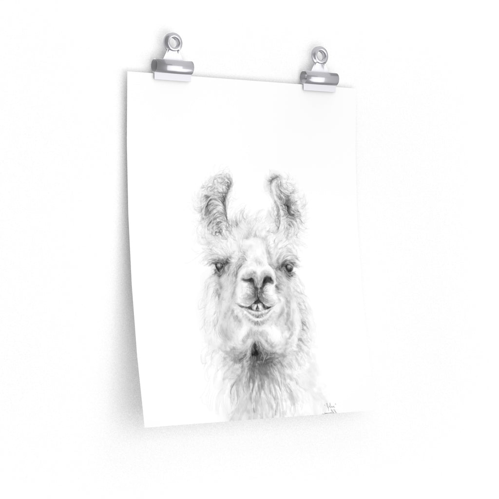 JOHN Llama- Art Paper Print