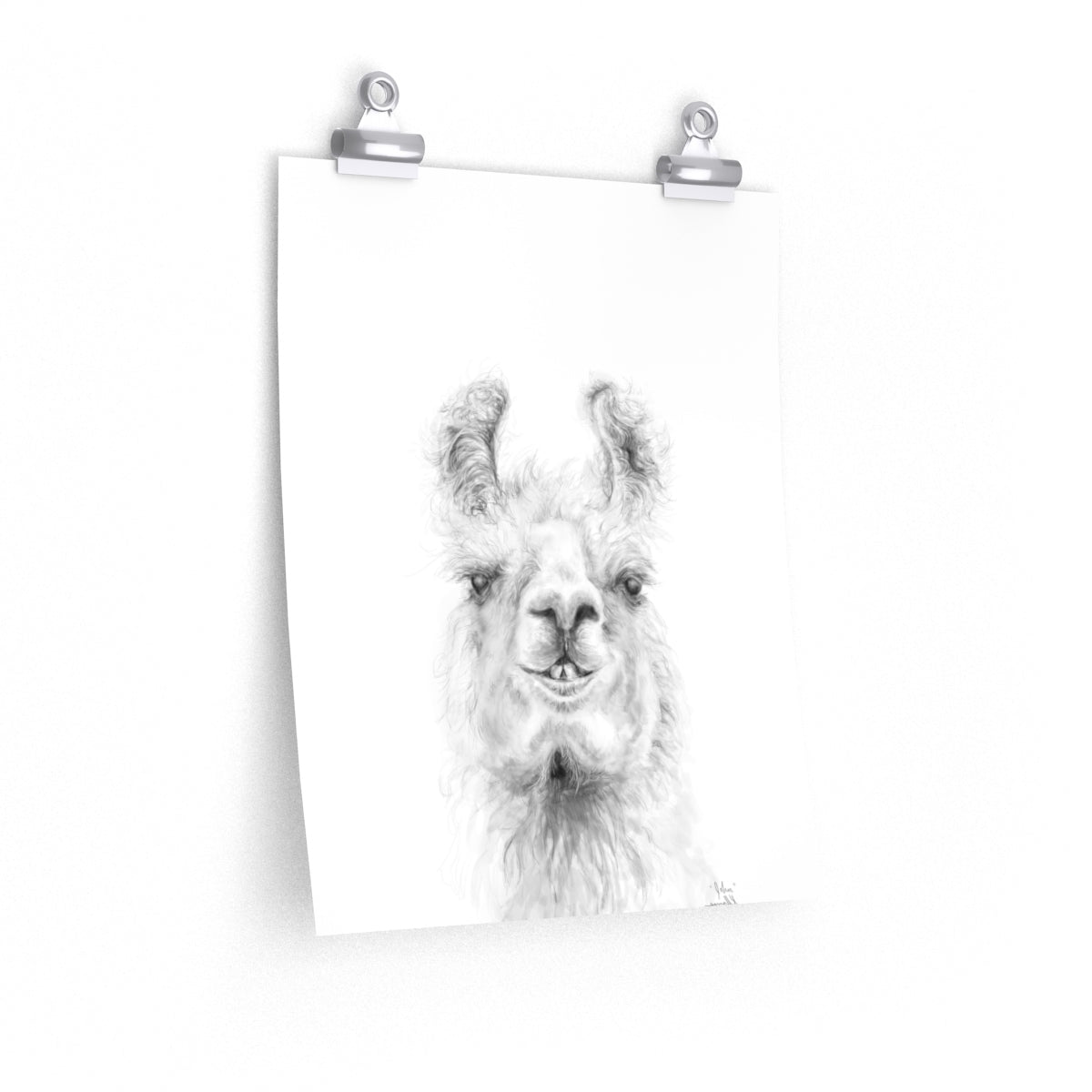 JOHN Llama- Art Paper Print