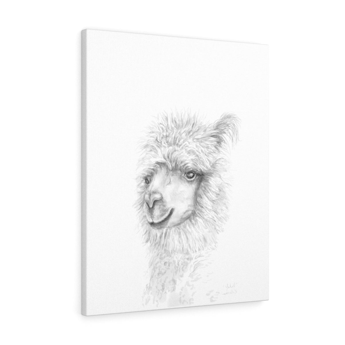 YAKOB Llama - Art Canvas