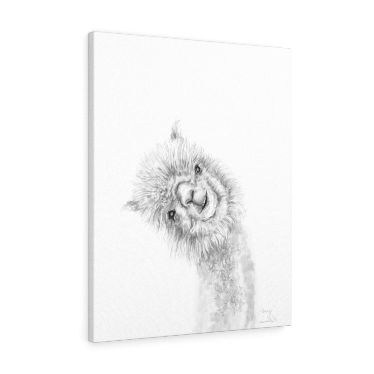 PENNY Llama - Art Canvas