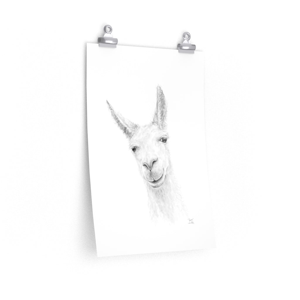 JASON Llama- Art Paper Print