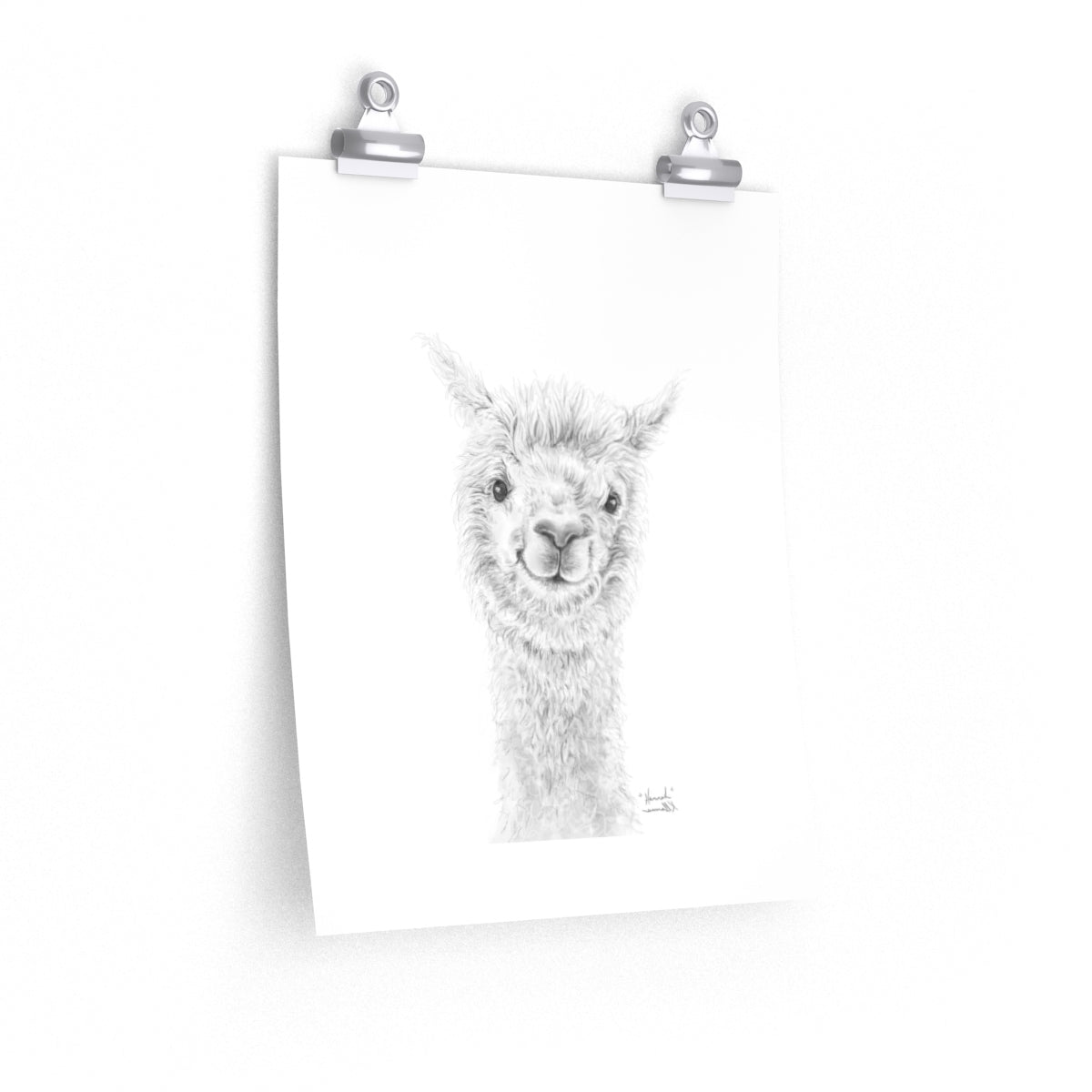 HANNAH Llama- Art Paper Print