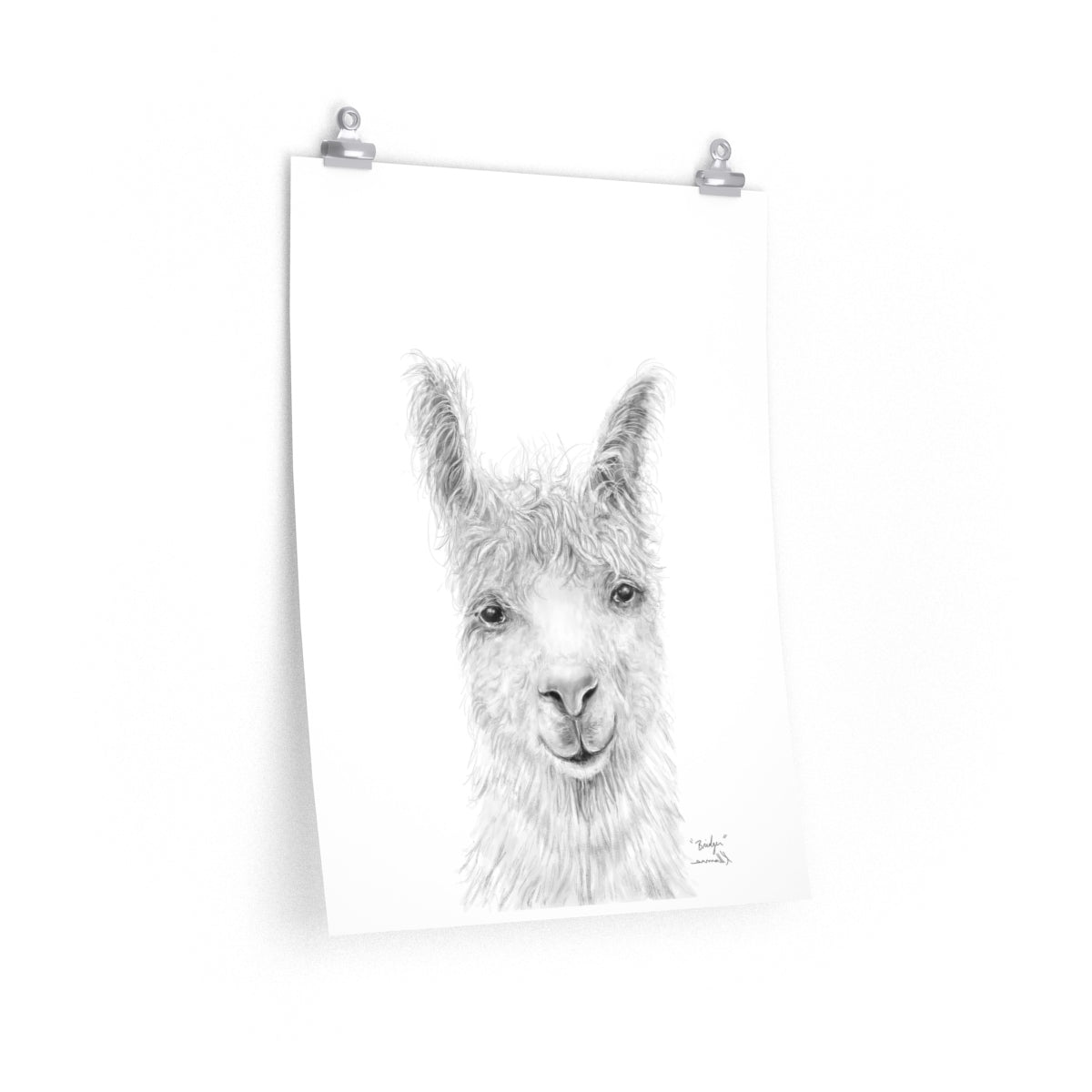 BRIDGER Llama- Art Paper Print