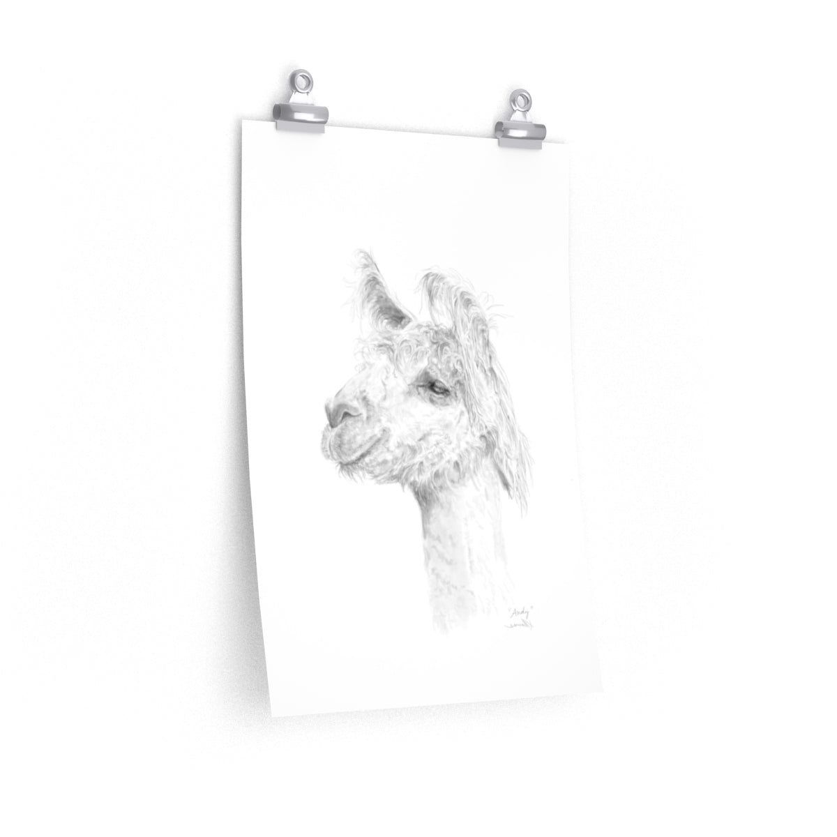ANDY Llama- Art Paper Print