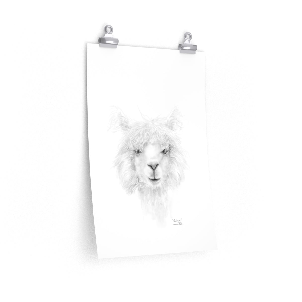 QUINN Llama- Art Paper Print