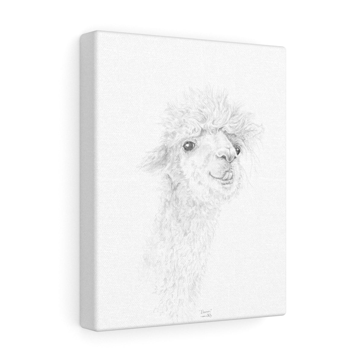 ELEANOR Llama - Art Canvas