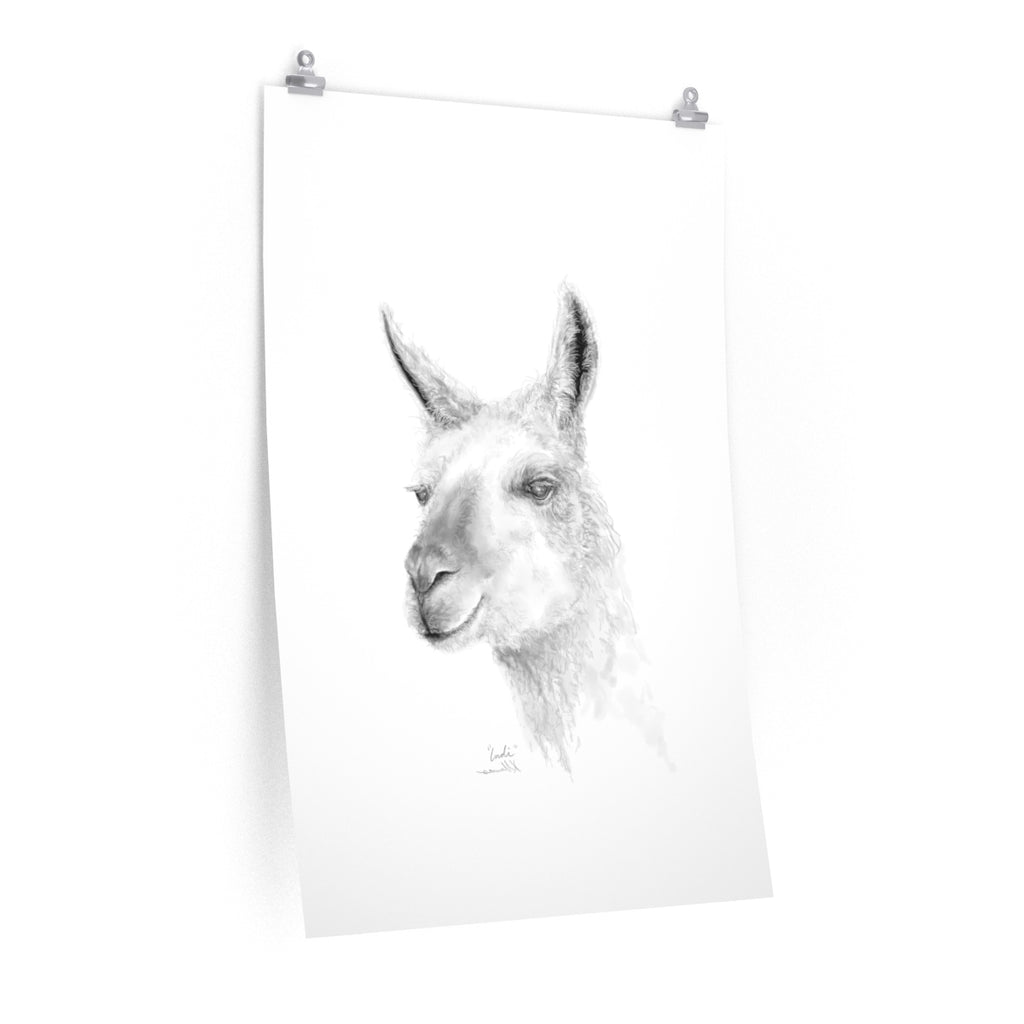 INDI Llama- Art Paper Print