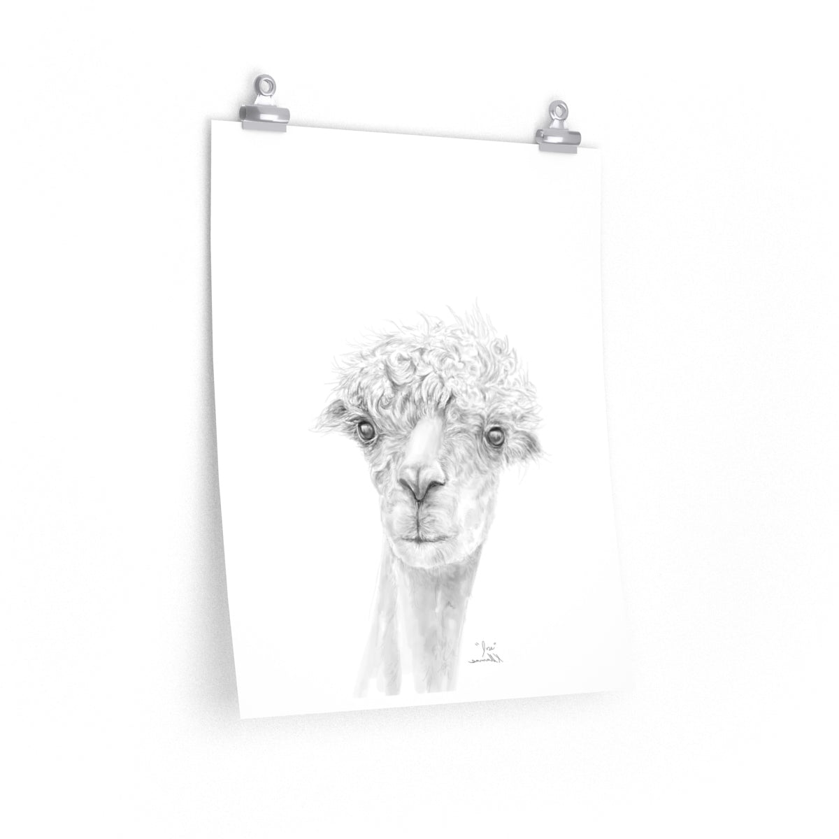 JOSE Llama- Art Paper Print