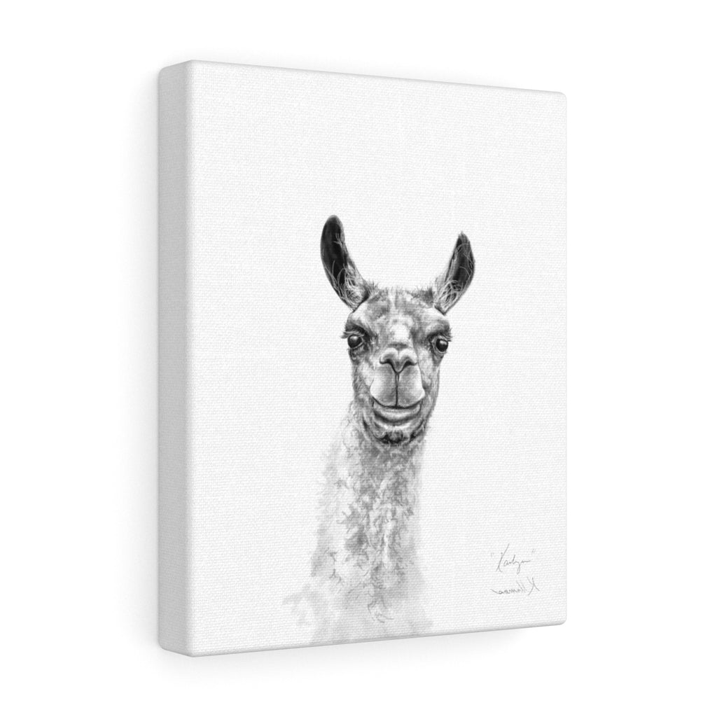 KAILYN Llama - Art Canvas