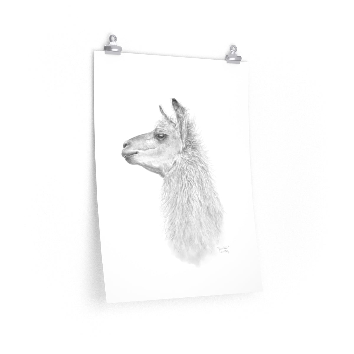 JUAN PABLO Llama- Art Paper Print