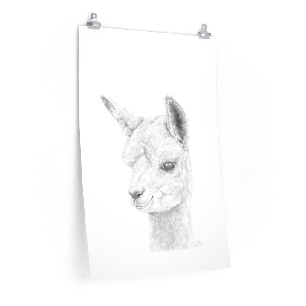 SKY Llama- Art Paper Print