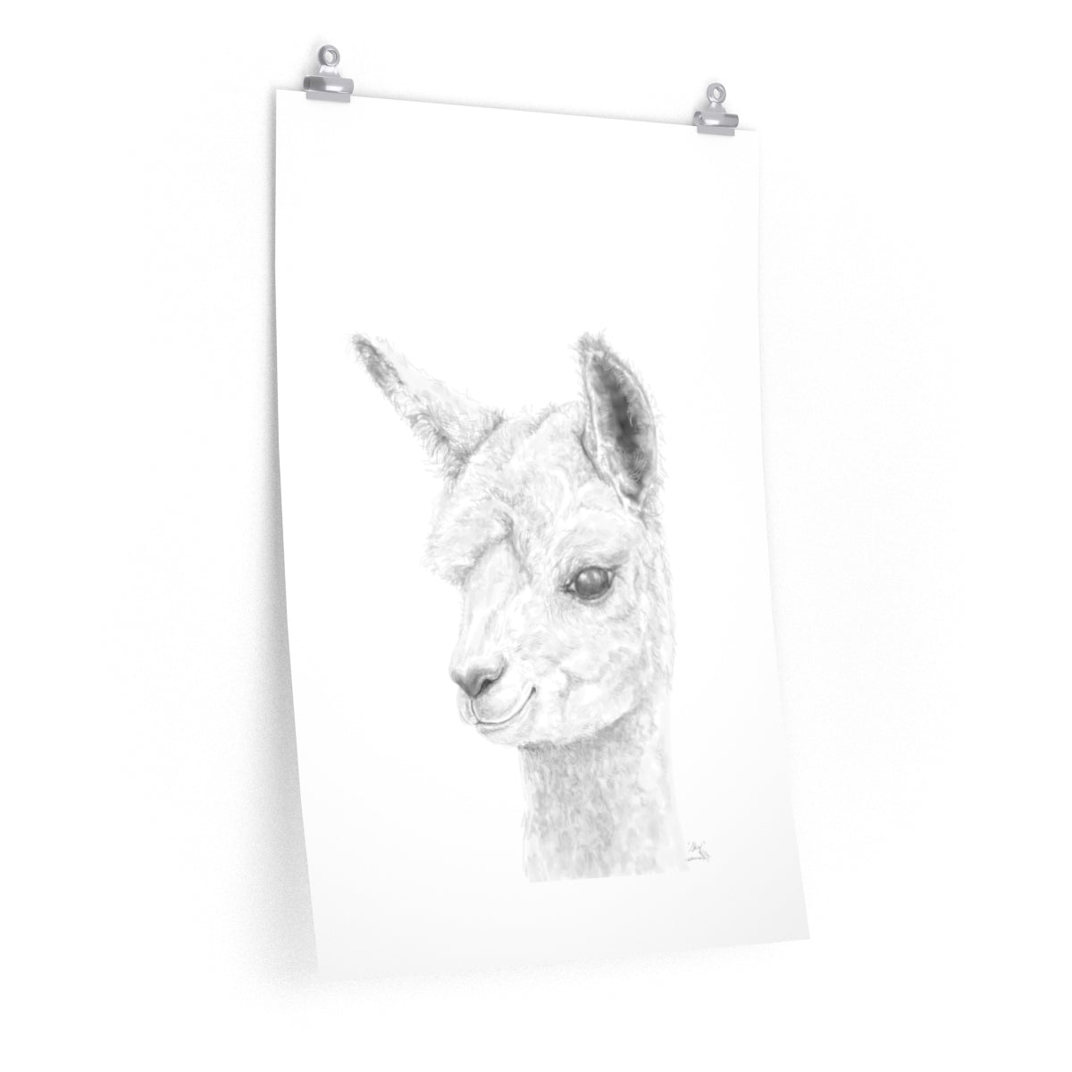 SKY Llama- Art Paper Print