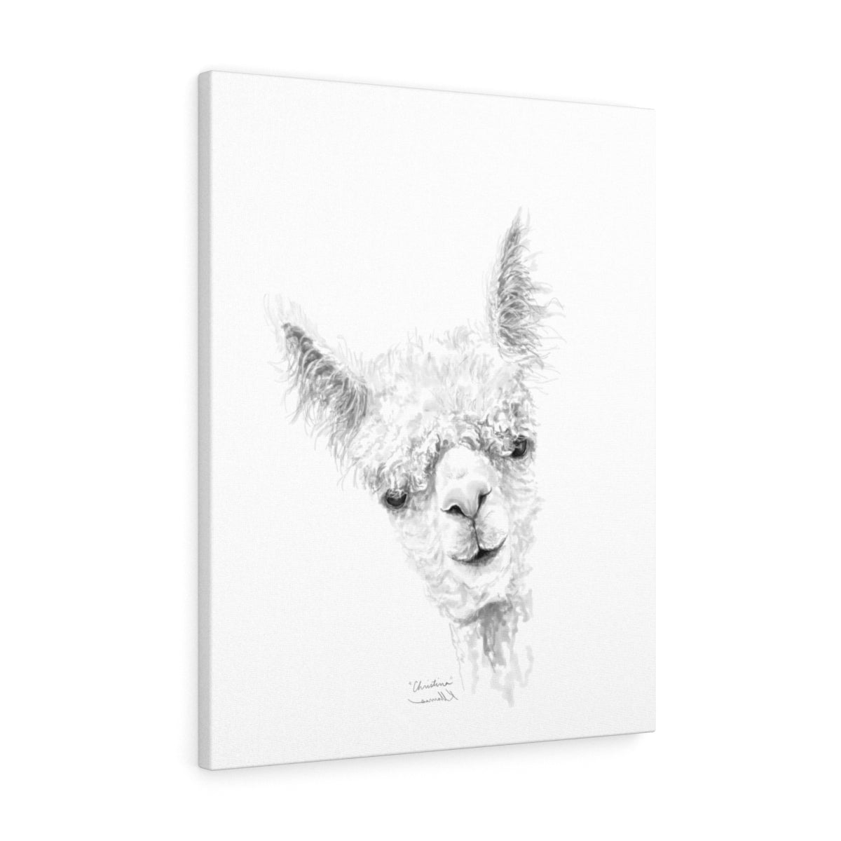 CHRISTINA Llama - Art Canvas