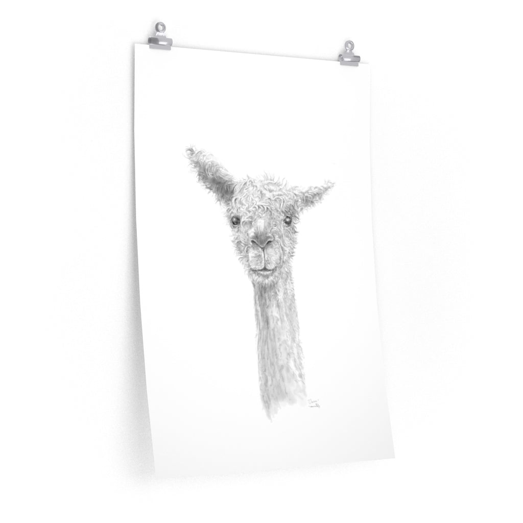 OWEN Llama- Art Paper Print