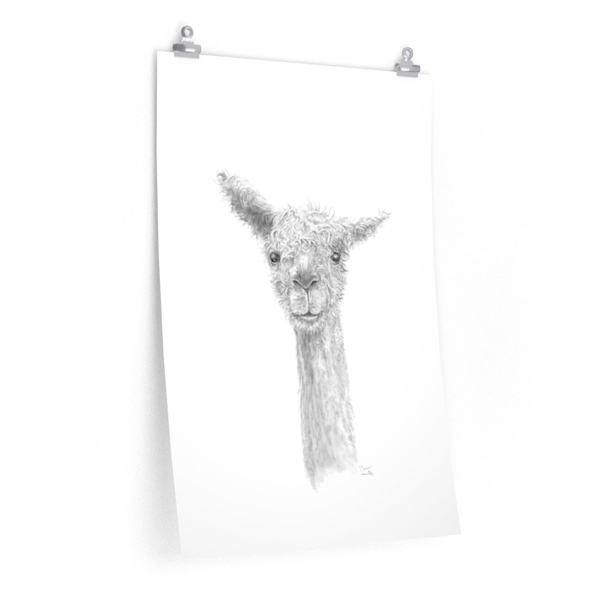 OWEN Llama- Art Paper Print
