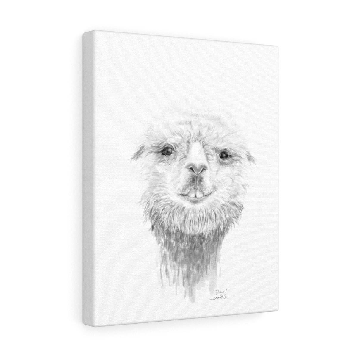 DREW Llama - Art Canvas