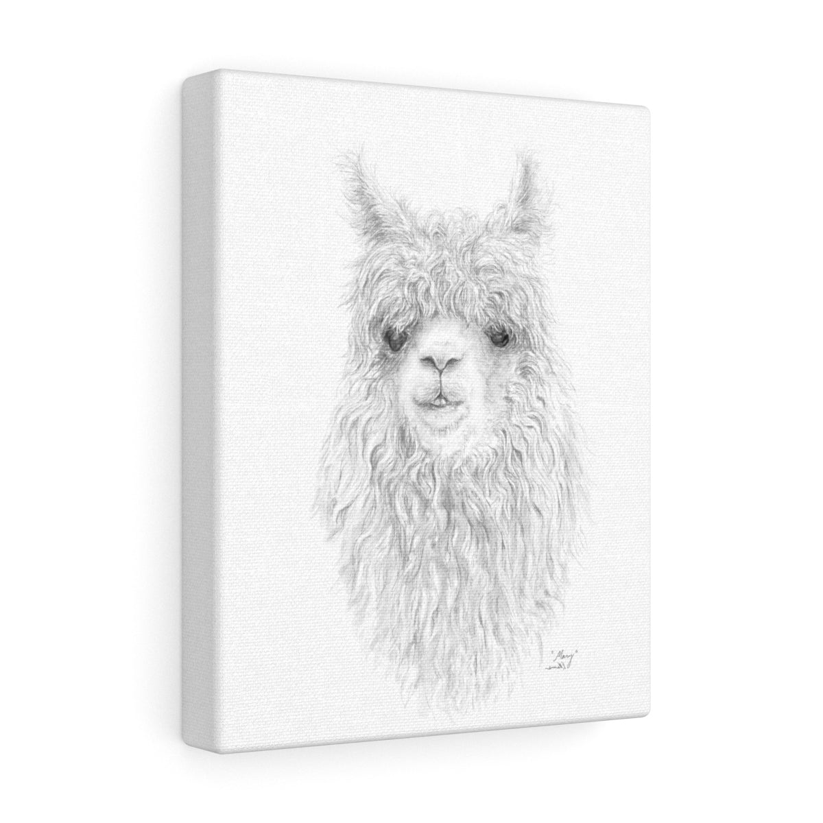 MARY Llama - Art Canvas
