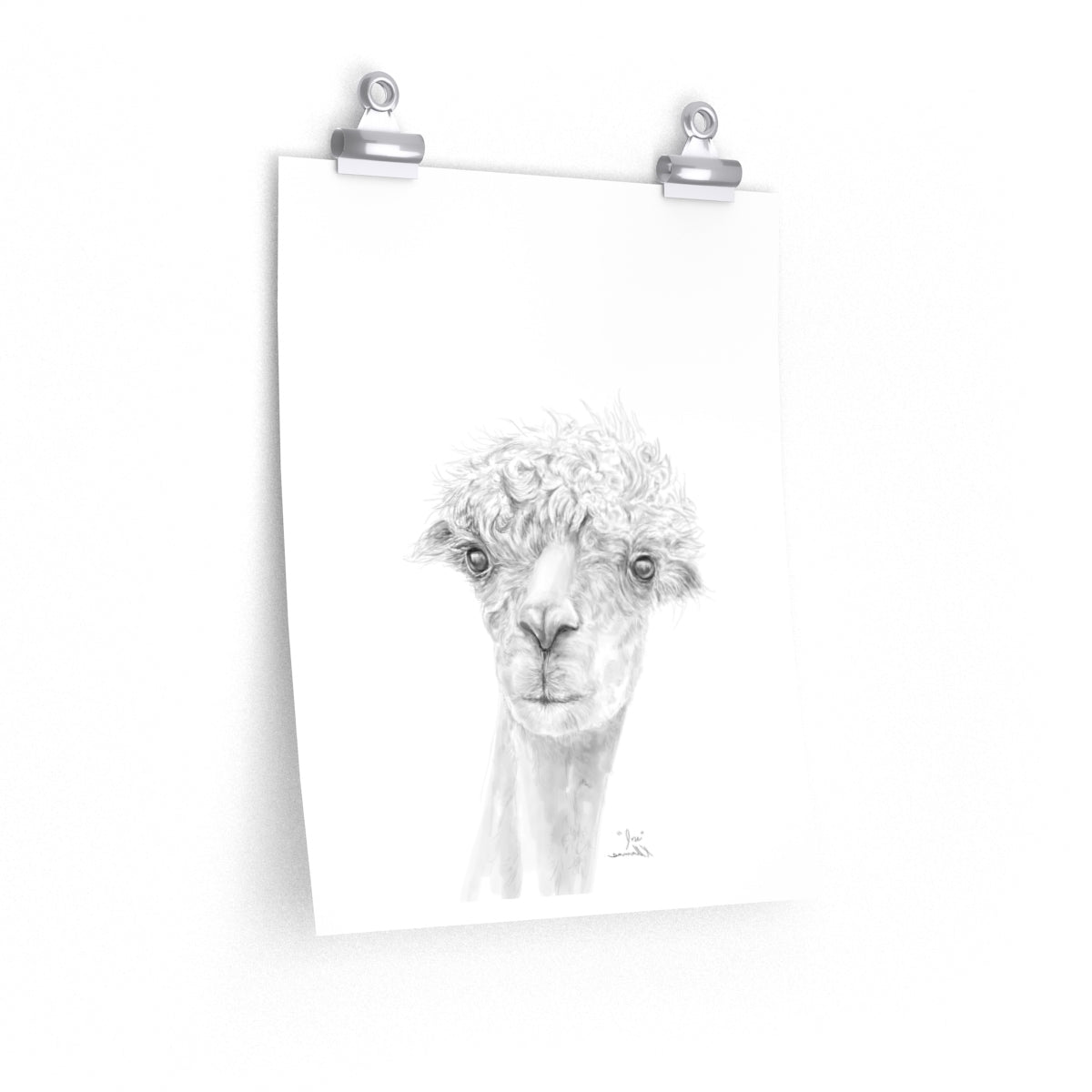 JOSE Llama- Art Paper Print