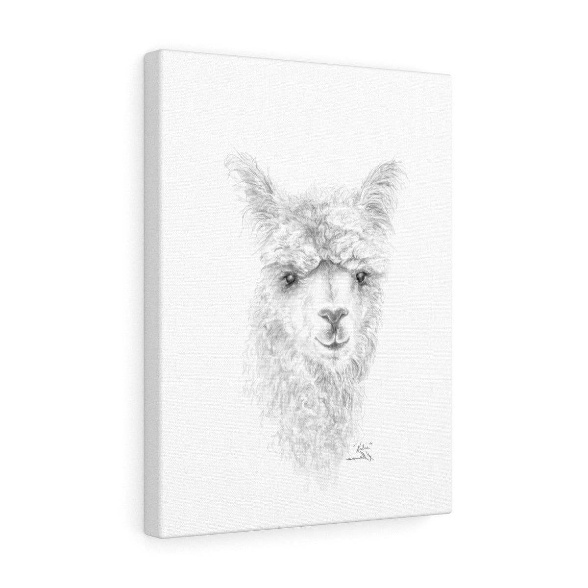 KATIE Llama - Art Canvas