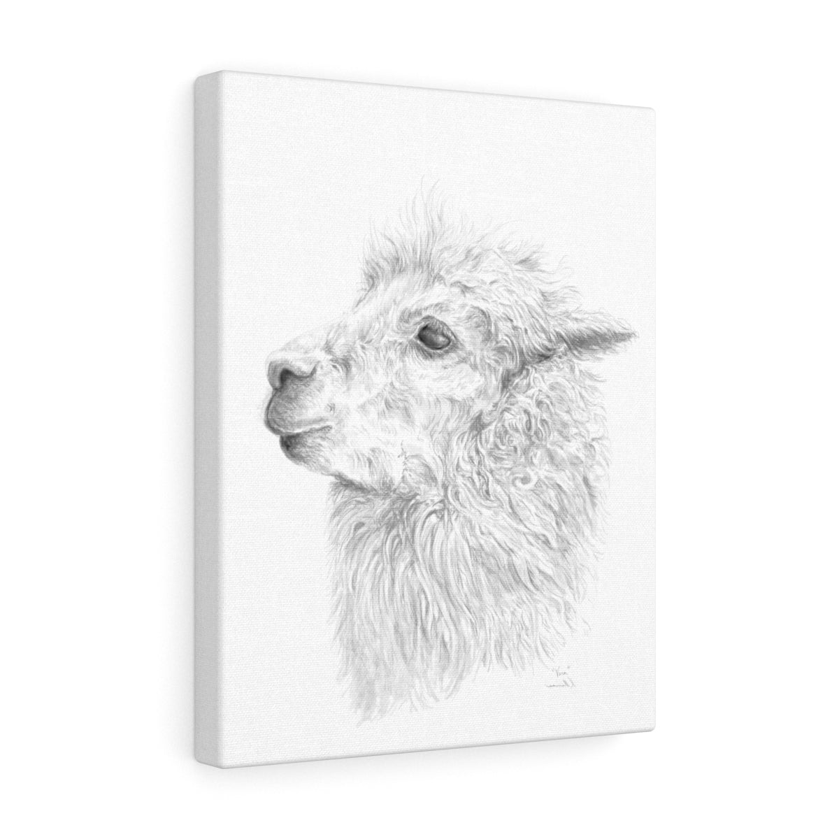 VERA Llama - Art Canvas