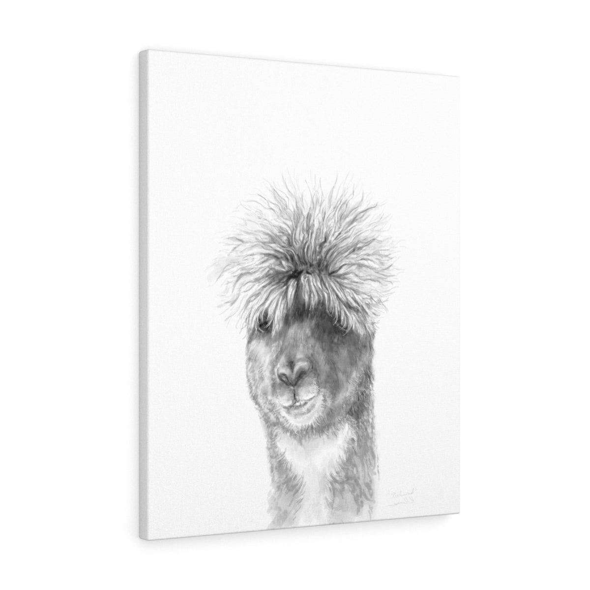 RICHMOND Llama - Art Canvas