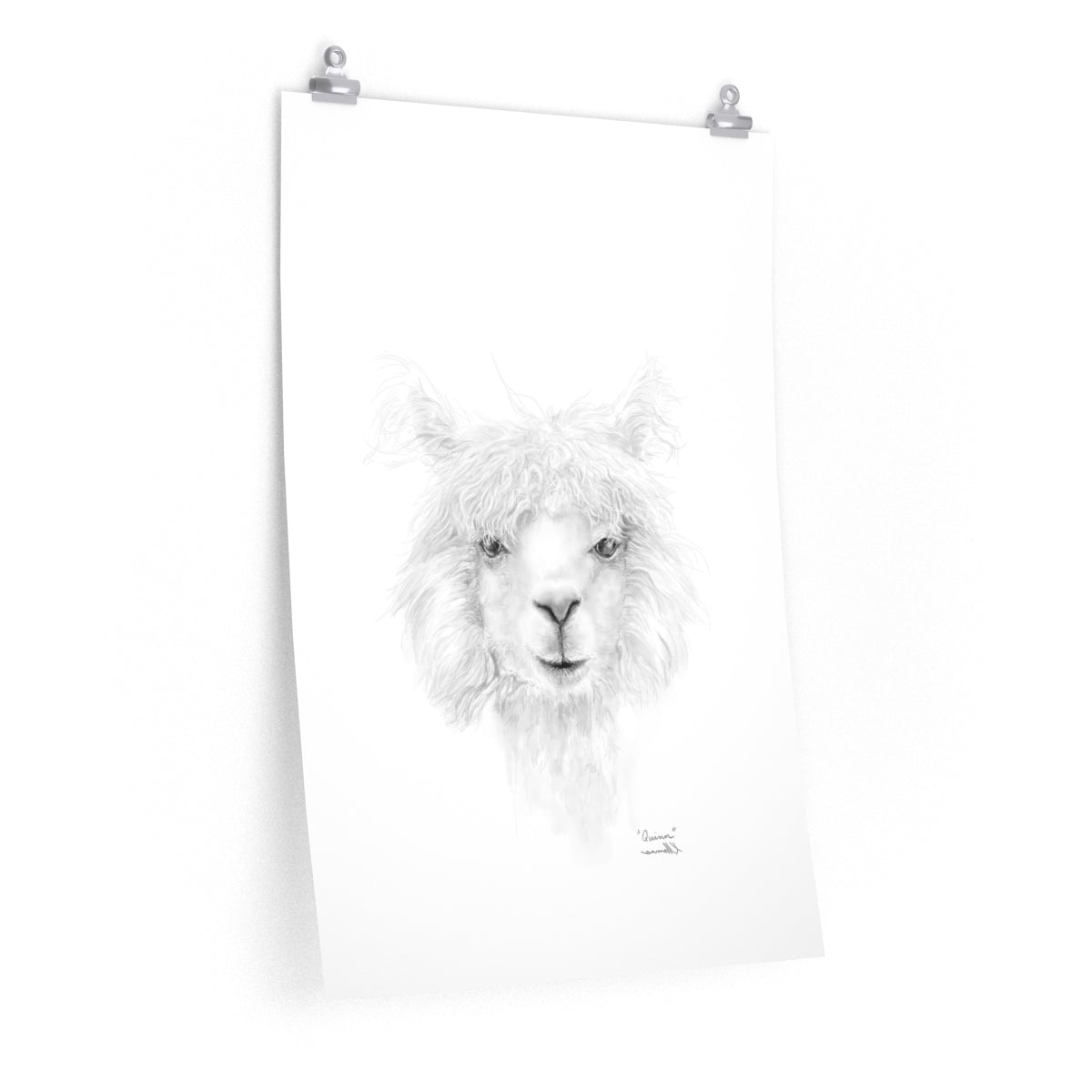 QUINN Llama- Art Paper Print