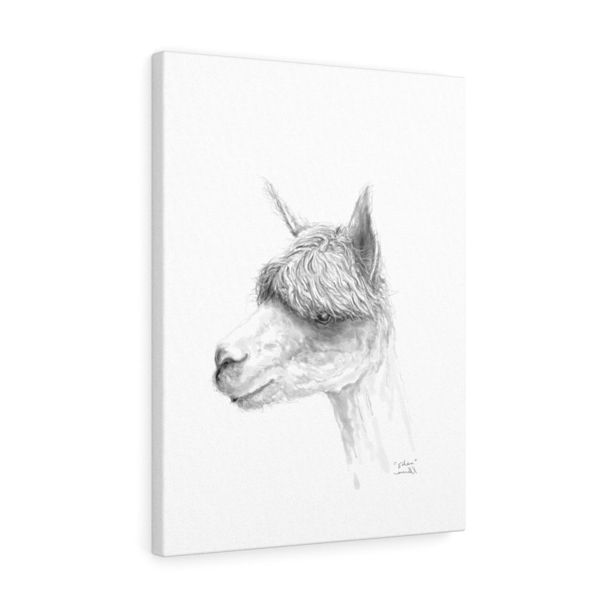 ETHAN Llama - Art Canvas
