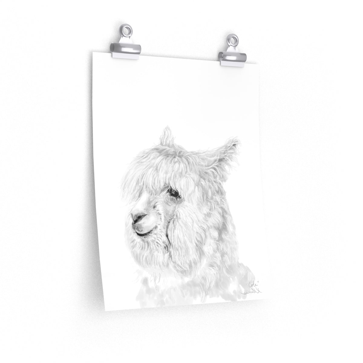 COLE Llama- Art Paper Print