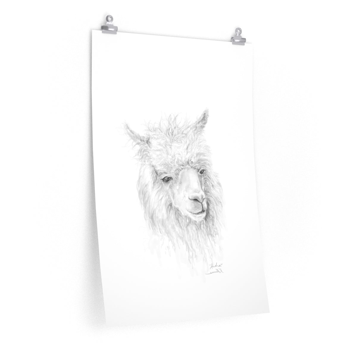 AUDRA Llama- Art Paper Print