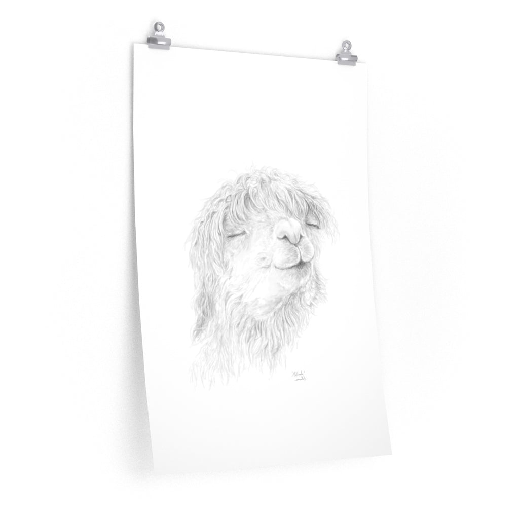 MELINDA Llama- Art Paper Print