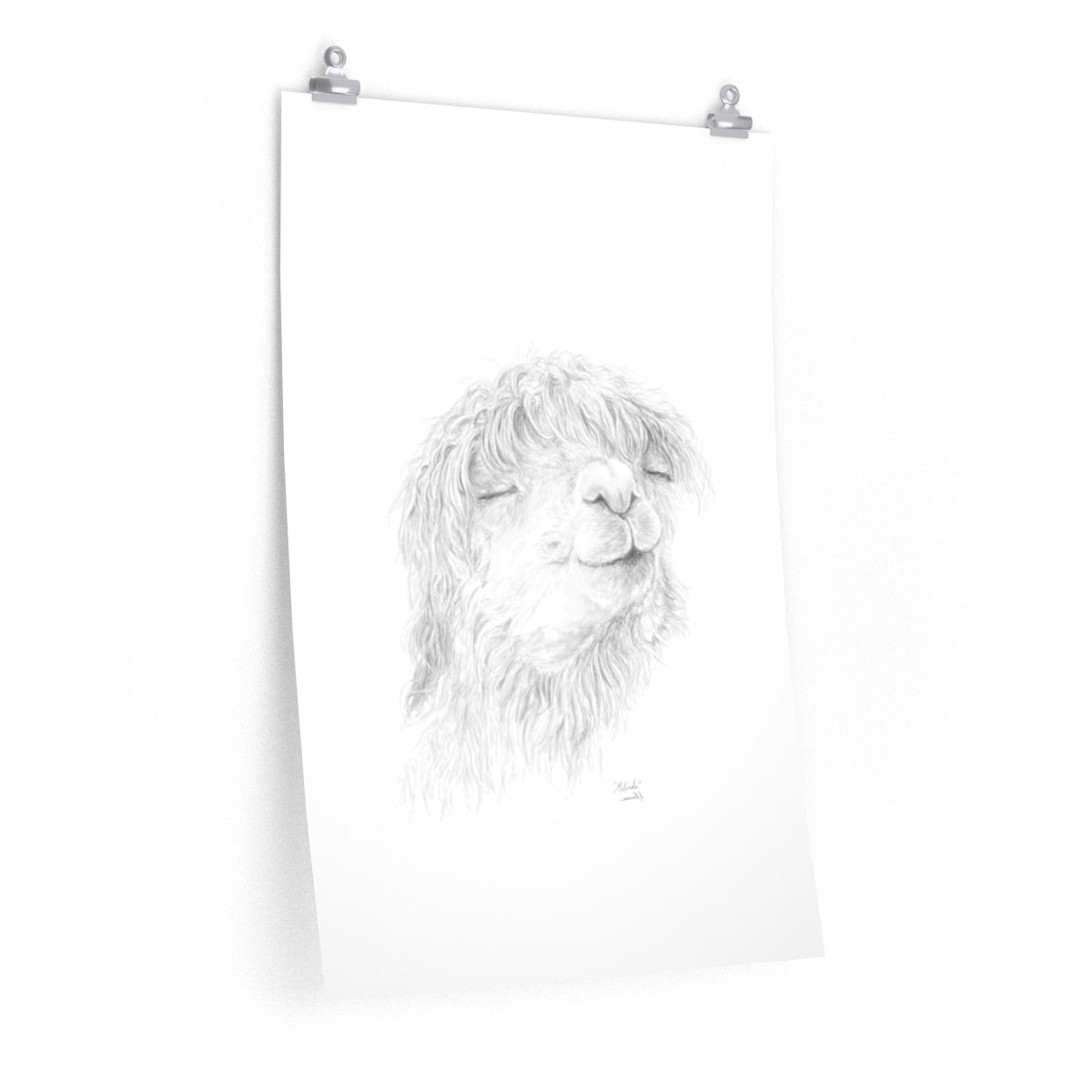 MELINDA Llama- Art Paper Print