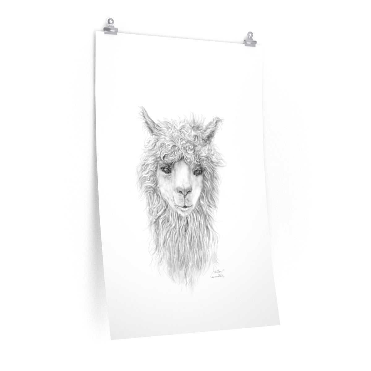 WILLOW Llama- Art Paper Print