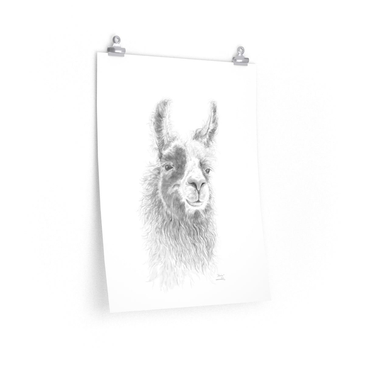 ANNIE Llama- Art Paper Print