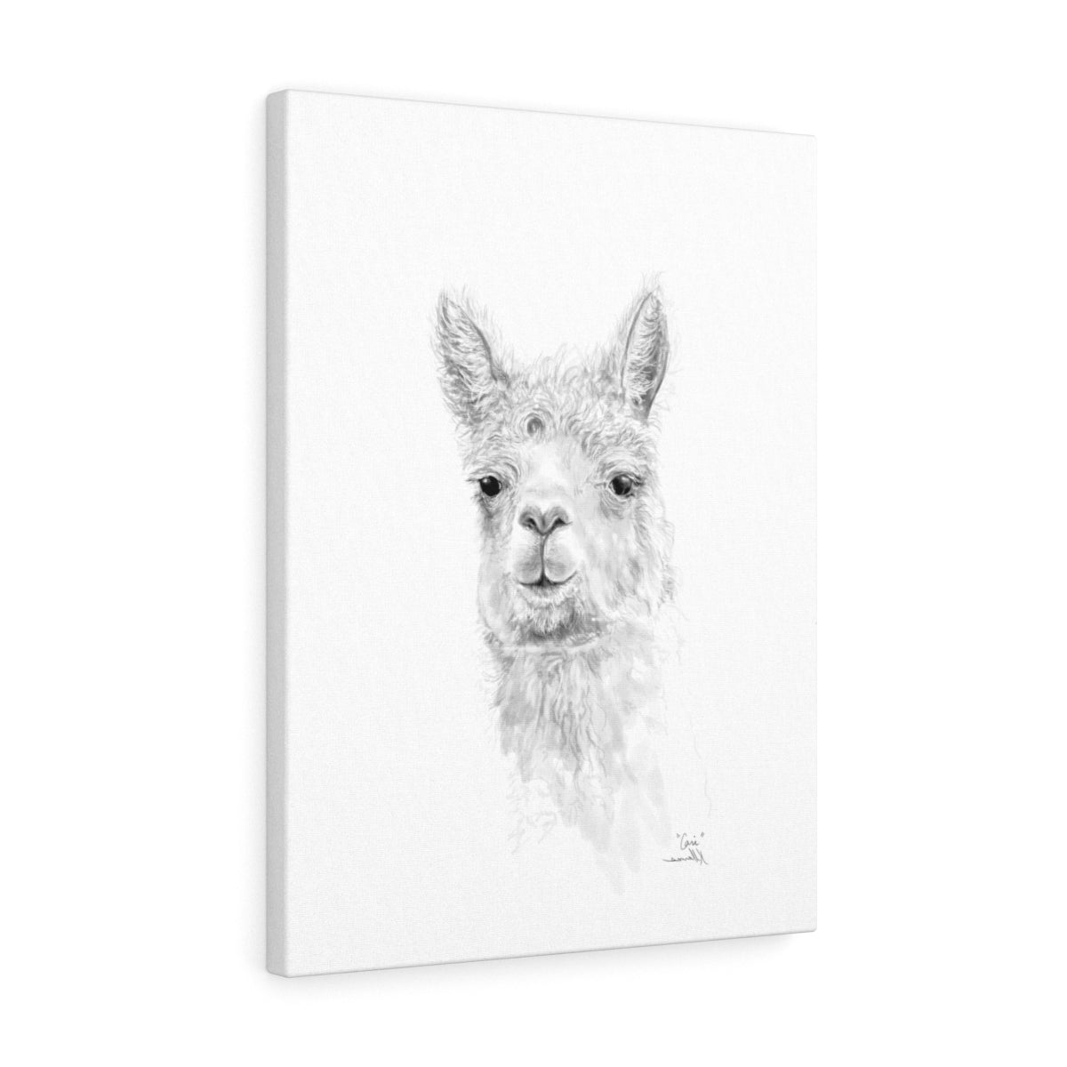 CARI Llama - Art Canvas