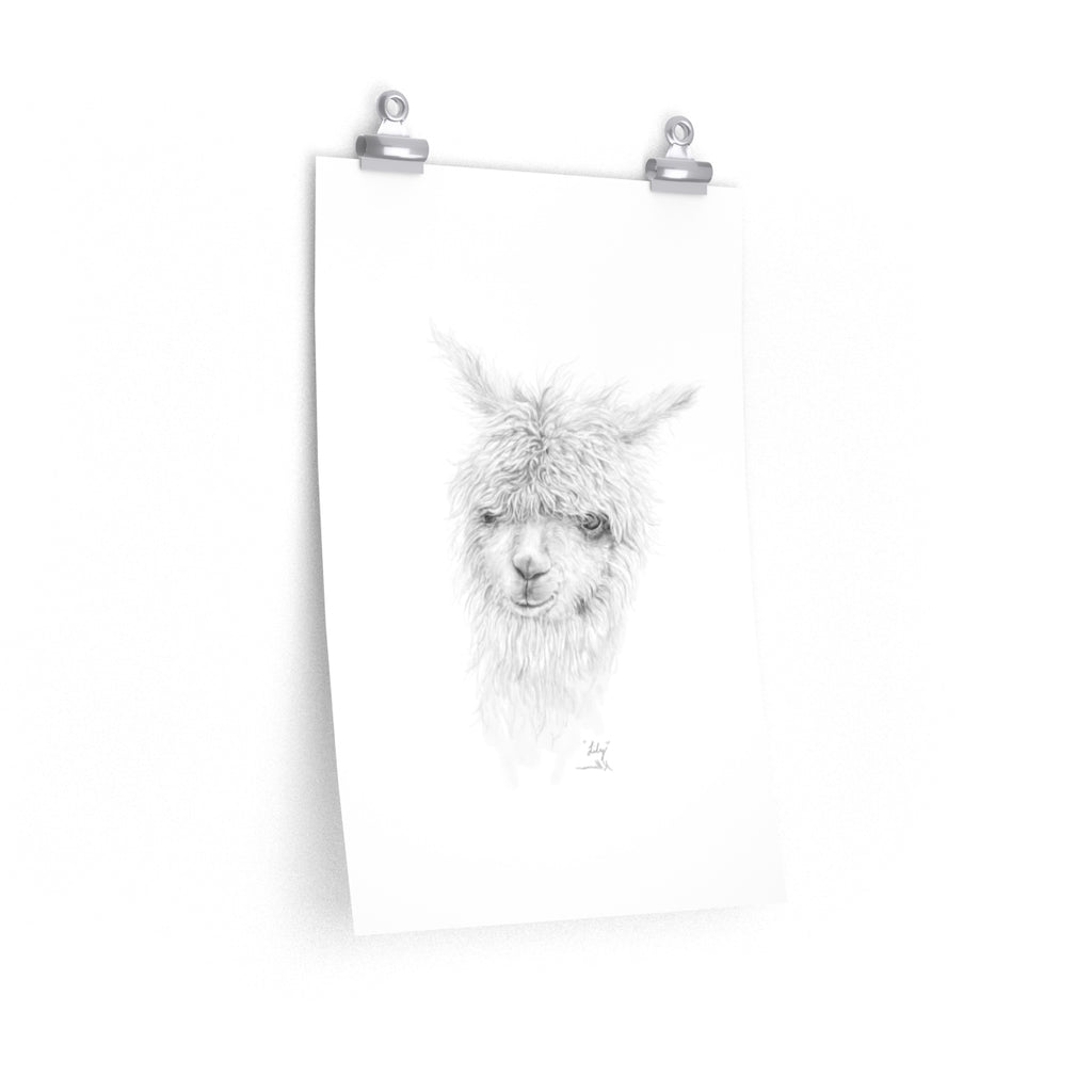 LILY Llama- Art Paper Print