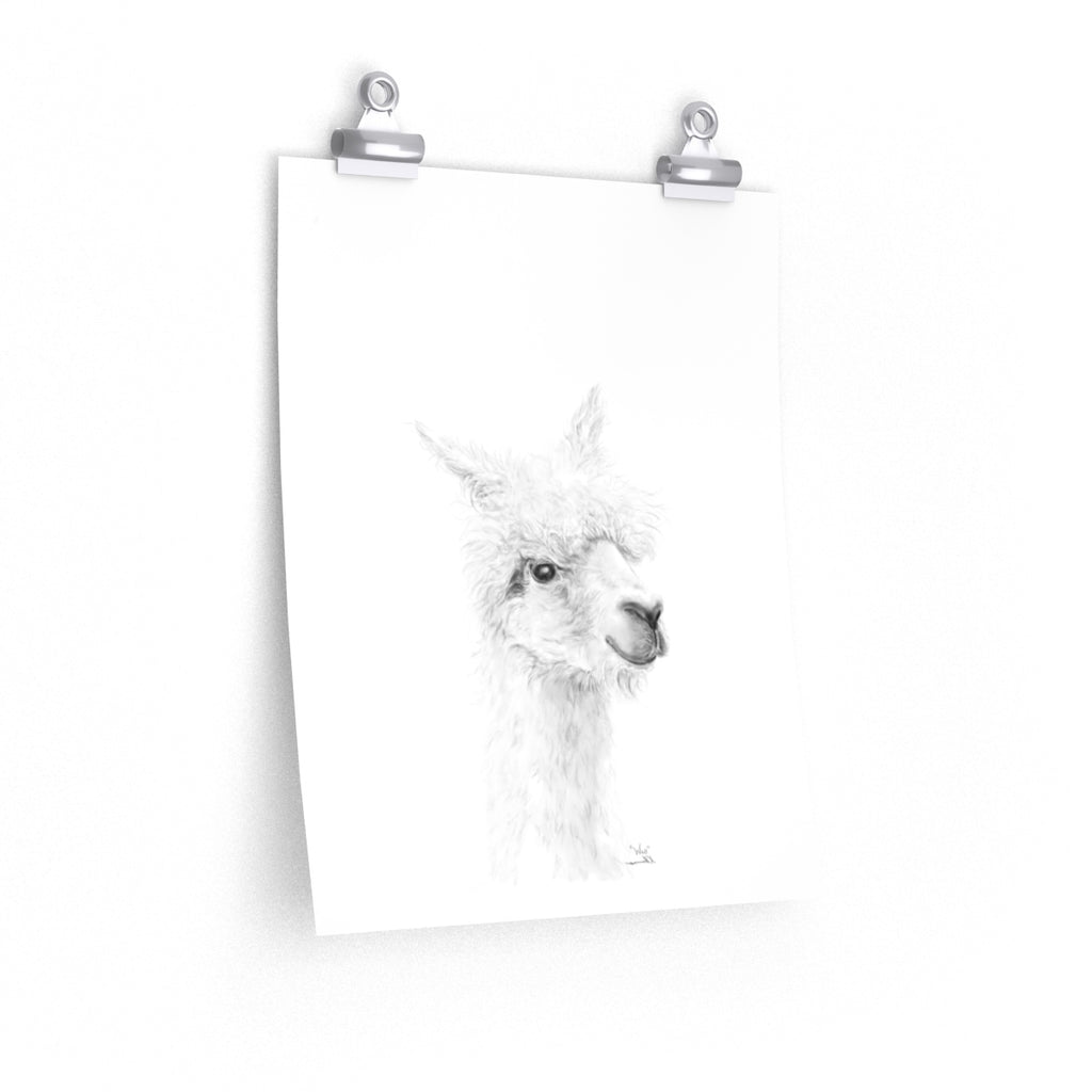 WES Llama- Art Paper Print