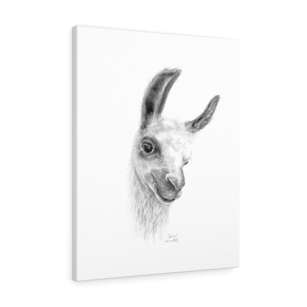 KARIN Llama - Art Canvas