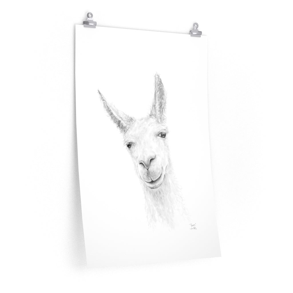 JASON Llama- Art Paper Print