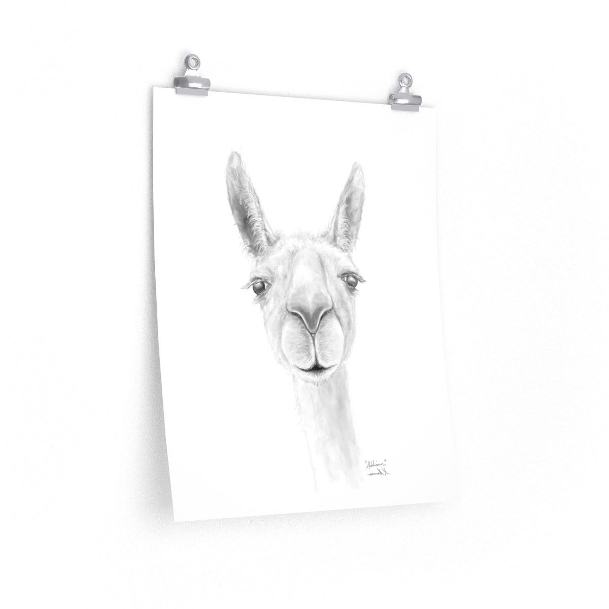 ADDISON Llama- Art Paper Print